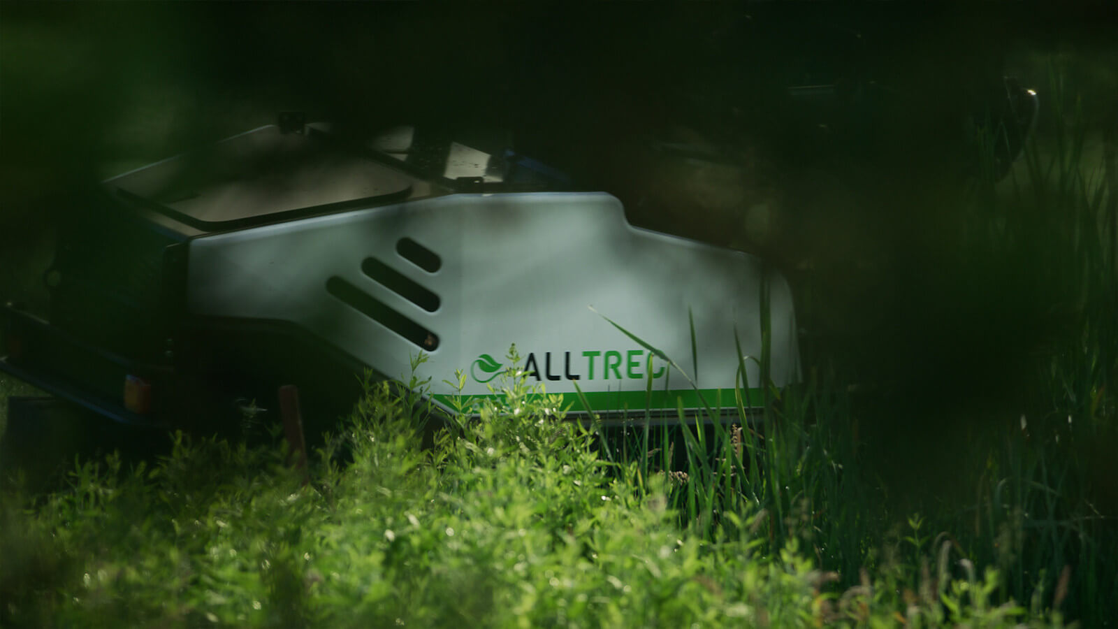 vision-alltrecsidecover.jpg